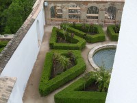 /album/chochera/sdc10314-jpg/