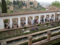 /album/chochera/sdc10310-jpg/