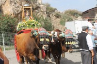 /album/bildgalleri/img-1356-jpg/