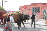 /album/bildgalleri/img-1346-jpg/