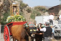 /album/bildgalleri/img-1352-jpg/