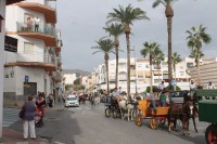 /album/bildgalleri/img-1314-jpg/