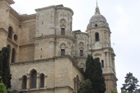 /album/bildgalleri/img-1591-jpg/